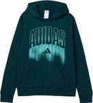 Мужской флисовый пуловер с капюшоном и рисунком adidas Kids, Dark Green - фото