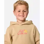 Худи Rip Curl AOTS TY Williams, бежевый - фото 3