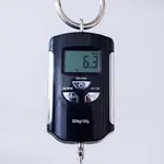 Электрогитара PRS S2 Vela Custom Color - Орех - №24S2079482 - фото 12