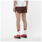 S/Lab speed 3 - шорты для бега Salomon, черный - фото 4