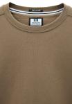 Толстовка Weekend Offender THUNDER, Tobacco/Brown - фото 5