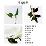 Flame Solo мужской парфюмерный набор образцов цветочно-фруктовый eau de parfum 1,5 мл LOEWE - фото 4