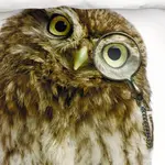 Постельное белье Schwanberg Sherlock Kiddies Renforcé 135 см x 200 см ESPiCO - фото 4