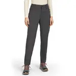 Брюки Icebreaker Merino Elevation Stretch, серый - фото