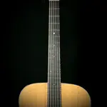 Martin Music Villa CS 18 Style, Jumbo - орех Бастонь - фото 4