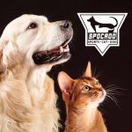 SPOCADO "Палас" сумка для перевозки животных 70 х 52 х 52 - фото 2