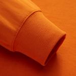 SALOMON Свитшоты Unisex Golden Apricot - фото 6