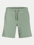 Спортивные шорты обычного кроя Gordon 12248831 Jack&Jones, зеленый - фото