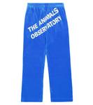 Бархатные брюки Camaleon The Animals Observatory, синий - фото 4