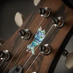 PRS 40-я годовщина Custom 24 Limited Edition - Sub Zero - фото 5