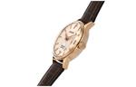 Часы SEIKO Presage Automatic 'Brown Copper' - фото 3