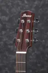 Ibanez AAD170CE-LGS - фото 2