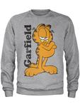 Свитер серого цвета Garfield - фото