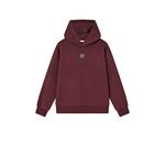 Свитшот для тренировок подростков Under Armour, бордовый - фото