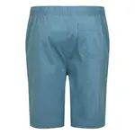 Повседневные шорты чинос 'Алдан' Regatta, синий - фото 6