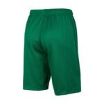 Nike Дышащие шорты dri fit для подростков pine green - фото 3