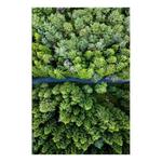 Фреска Artgeist Road Through Forest, зеленый - фото