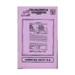 Character Sheets, Holocaustic Dungeons, мягкая обложка - фото