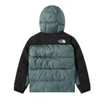 Парка The North Face Himalayan Down Parka Balsam Green, зеленый - фото 2