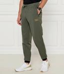 Штаны спортивные Ea7 Regular Fit, зеленый - фото