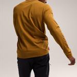 Футболка Arc'teryx Captive Arc'word с длинным рукавом, цвет Ivory White/White Light - фото 8