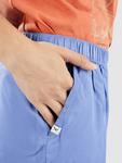 Шорты Iriedaily Civic Eco Shorts, lavender blue - фото 3