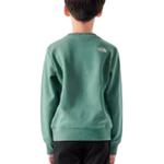 Детская толстовка The North Face, белый - фото 4