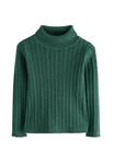Джемпер Next REGULAR FIT-ROLL NECK, Dark Green/Green - фото