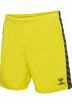 Спортивные шорты AUTHENTIC PL Hummel, цвет blazing yellow - фото 8
