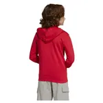 Худи adidas Essentials Big Logo, красный - фото 2