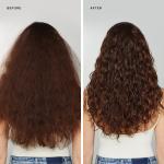 Кондиционер Awapuhi Wild Ginger HydraSoft Paul Mitchell, 8.5 oz - фото 5