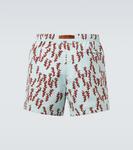 Напечатанные плавки Zegna, Sorgente - фото 4