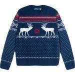 Polo Ralph Lauren Свитер мужской темно-синий - фото