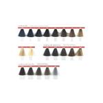 Краска для волос Vitality'S Art Absolute, 1/00 China Black - фото