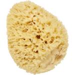 Cartel Natural Sea Sponge Vitry - фото