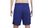 Повседневные шорты мужские синие Nike, синий - фото 2