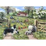 Пазлы Early Learning 1000 Piece Puzzle - фото