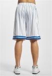 Шорты RETRO PINSTRIPE FUBU, цвет white blue - фото 3
