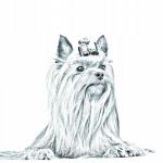 Йоркширский терьер Складное карманное зеркальце Inna Marka - фото 2