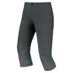 Тайтсы Trangoworld Humma, серый - фото