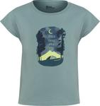 Рубашка JACK WOLFSKIN, цвет Mint/Apple - фото