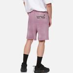 Повседневные шорты для мужчин Evisu, фиолетовый - фото 5