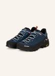 Ботинки для походов alp trainer 2 gtx Salewa, мультиколор - фото