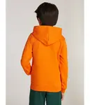 Толстовка Regular fit Tommy Hilfiger, оранжевый - фото 2