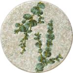 Коврик для ванной Erwin Müller Badematte Eukalyptus, зеленый - фото