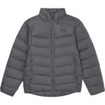 Куртка Core Jkt Down мужская серая Under Armour - фото