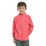 Куртка Jack Wolfskin Taunus, розовый - фото