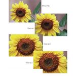 Фильтр Tiffen 77mm Close-up Lens Set 77CUS - фото 2