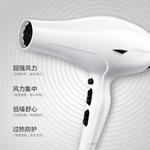 Фен для волос Fire Phoenix, 3100H (white) - фото 2