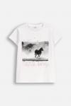 Детская футболка Coccodrillo, белый - фото